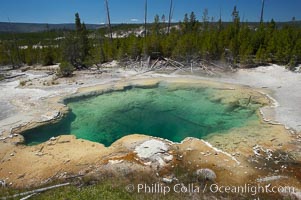 Emerald Spring, with its sulfur-lined sides, displays a deep green color, the result of its clear water (which would otherwise display as blue) and the deep yellow coloration of its sulfur lining, Norris Geyser Basin, Yellowstone National Park, Wyoming