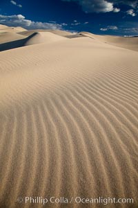 Eureka Dunes.  The Eureka Valley Sand Dunes are California's tallest sand dunes, and one of the tallest in the United States.  Rising 680' above the floor of the Eureka Valley, the Eureka sand dunes are home to several endangered species, as well as "singing sand" that makes strange sounds when it shifts.  Located in the remote northern portion of Death Valley National Park, the Eureka Dunes see very few visitors