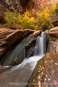 Fall Colors in Kanarra Creek Canyon, Utah, Kanarraville