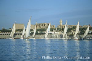 Feluccas, traditional Egyptian sailboats, sail the Nile River with Karnak Temple in the background, Luxor