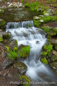 Fern Springs, a small natural spring in Yosemite Valley near the Pohono Bridge, trickles quietly over rocks as it flows into the Merced River, Yosemite National Park, California