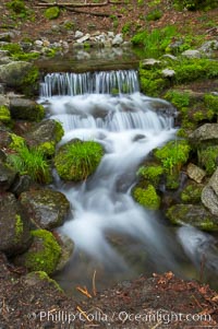 Fern Springs, a small natural spring in Yosemite Valley near the Pohono Bridge, trickles quietly over rocks as it flows into the Merced River, Yosemite National Park, California