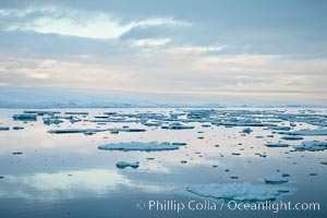 Floating ice and glassy water, sunset, Paulet Island