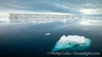 Floating ice and glassy water, Paulet Island