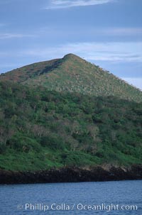 Floreana Island