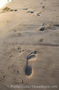 Footprints on a sandy beach, Ponto, Carlsbad, California