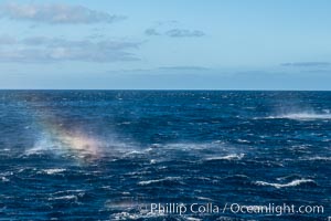 Gale winds, rainbow forms in sea smoke, Guadalupe Island (Isla Guadalupe)