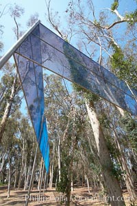 The Giraffe Traps, or what is officially known as Two Running Violet V Forms, was the second piece in the Stuart Collection at University of California San Diego (UCSD).  Commissioned in 1983 and produced by Robert Irwin, the odd fence resides in the eucalyptus grove between Mandeville Auditorium and Central Library, University of California, San Diego, La Jolla