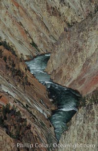 The Yellowstone River flows through the Grand Canyon of the Yellowstone, late afternoon looking east from Inspiration Point, Yellowstone National Park, Wyoming