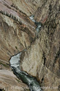 The Yellowstone River flows through the Grand Canyon of the Yellowstone, late afternoon looking east from Inspiration Point, Yellowstone National Park, Wyoming