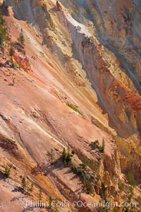 The sheer walls of the Grand Canyon of the Yellowstone take on a variety of yellow, red and orange hues due to iron oxidation in the soil and, to a lesser degree, sulfur content, Yellowstone National Park, Wyoming