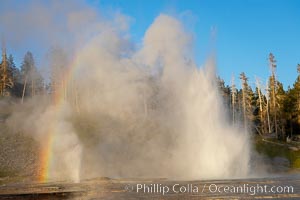 A rainbow forms in the mist from Grand Geyser and Vent Geyser.  Grand Geyser is a fountain-type geyser reaching 200 feet in height and lasting up to 12 minutes.  Grand Geyser is considered the tallest predictable geyser in the world, erupting about every 12 hours.  It is often accompanied by burst or eruptions from Vent Geyser and Turban Geyser just to its left.  Upper Geyser Basin, Yellowstone National Park, Wyoming