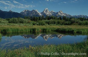 The Teton Range is reflected in a calm sidewater of the Snake River near Blacktail Ponds, summer, Grand Teton National Park, Wyoming