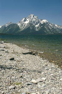 Driftwood along the shoreline of Jackson Lake with Mount Moran in the background, Grand Teton National Park, Wyoming