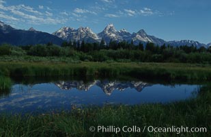 The Teton Range is reflected in a calm sidewater of the Snake River near Blacktail Ponds, summer, Grand Teton National Park, Wyoming
