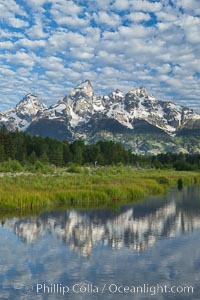 The Grand Tetons, reflected in the glassy waters of the Snake River at Schwabacher Landing, on a beautiful summer morning, Grand Teton National Park, Wyoming