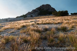 Grasses and false summit of Mount Hoffmann, Yosemite National Park, California