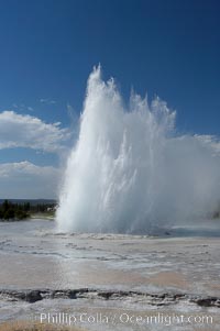 Great Fountain Geyser erupting.  Great Fountain Geyser, a fountain-type geyser, can reach heights of 200 feet, one of the largest geysers in the world.  It has a large vent (16 feet across) situated amid wide sinter terraces that act as reflecting pools as the geyser slows fills prior to its eruption.  Its interval and duration vary widely.  It typically erupts in a series of bursts, each separately by a few minutes.  Firehole Lake Drive, Lower Geyser Basin, Yellowstone National Park, Wyoming