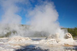 Grotto Geyser erupts (right) while Rocket Geyser steams (left).  Upper Geyser Basin, Yellowstone National Park, Wyoming