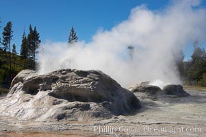 Grotto Geyser (left) and Rocket Geyser (right) erupt.  Upper Geyser Basin, Yellowstone National Park, Wyoming