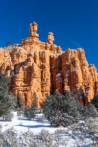 Hoodoos, walls and sandstone spires, Red Canyon, Dixie National Forest, Utah