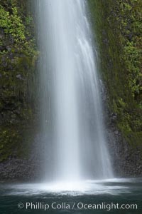 Horsetail Falls drops 176 feet just a few yards off the Columbia Gorge Scenic Highway, Columbia River Gorge National Scenic Area, Oregon