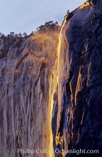 Horsetail Falls backlit by the setting sun as it cascades down the face of El Capitan, February, Yosemite Valley, Yosemite National Park, California