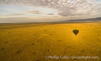 Hot Air Ballooning over Maasai Mara plains, Kenya, Maasai Mara National Reserve