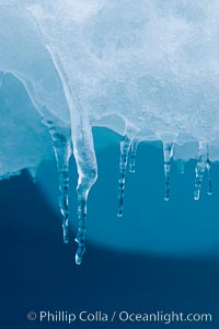 Icicles and melting ice, hanging from the edge of an blue iceberg.  Is this the result of climate change and global warming?, Brown Bluff