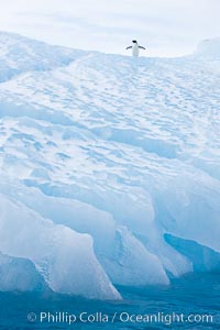 Iceberg detail, Paulet Island