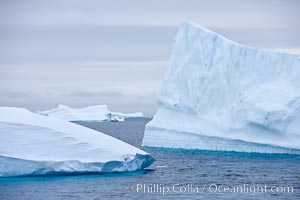 Icebergs, Paulet Island