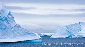 Icebergs and ice near Paulet Island