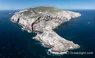 Isla San Pedro Martir aerial photo, Sea of Cortez, Mexico. San Pedro Martir Island and its marine life are, since 2002, part of the San Pedro Martir Biosphere Reserve, and is regarded as a natural laboratory of adaptive evolution, similar to that of the Galapagos Islands. It is home to 292 species of fauna and flora (both land-based and aquatic), with 42 species protected by Mexican law, and 30 listed on the Red List of Threatened Species. San Pedro Martir is also unique in the area for its year-round quantity of birds. The island is the only island in the area with a perpetually swirling cloud of sea birds. This is because the water around the island, has some of the most successful marine productivity in the world