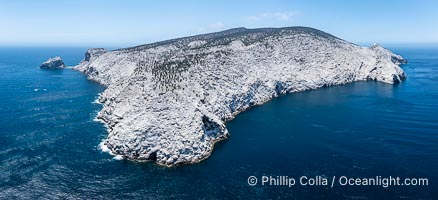 Isla San Pedro Martir aerial photo, Sea of Cortez, Mexico. San Pedro Martir Island and its marine life are, since 2002, part of the San Pedro Martir Biosphere Reserve, and is regarded as a natural laboratory of adaptive evolution, similar to that of the Galapagos Islands. It is home to 292 species of fauna and flora (both land-based and aquatic), with 42 species protected by Mexican law, and 30 listed on the Red List of Threatened Species. San Pedro Martir is also unique in the area for its year-round quantity of birds. The island is the only island in the area with a perpetually swirling cloud of sea birds. This is because the water around the island, has some of the most successful marine productivity in the world