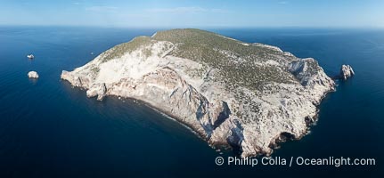 Isla San Pedro Martir aerial photo, Sea of Cortez, Mexico. San Pedro Martir Island and its marine life are, since 2002, part of the San Pedro Martir Biosphere Reserve, and is regarded as a natural laboratory of adaptive evolution, similar to that of the Galapagos Islands. It is home to 292 species of fauna and flora (both land-based and aquatic), with 42 species protected by Mexican law, and 30 listed on the Red List of Threatened Species. San Pedro Martir is also unique in the area for its year-round quantity of birds. The island is the only island in the area with a perpetually swirling cloud of sea birds. This is because the water around the island, has some of the most successful marine productivity in the world