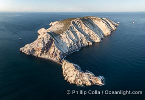 Isla San Pedro Martir at sunset with extensive forest of Cardon Cactus seen on the summit ridge of the island, aerial photo, Sea of Cortez, Mexico. San Pedro Martir Island and its marine life are, since 2002, part of the San Pedro Martir Biosphere Reserve, and is regarded as a natural laboratory of adaptive evolution, similar to that of the Galapagos Islands. It is home to 292 species of fauna and flora (both land-based and aquatic), with 42 species protected by Mexican law, and 30 listed on the Red List of Threatened Species. San Pedro Martir is also unique in the area for its year-round quantity of birds. The island is the only island in the area with a perpetually swirling cloud of sea birds. This is because the water around the island, has some of the most successful marine productivity in the world