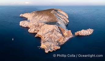 Isla San Pedro Martir at sunset with extensive forest of Cardon Cactus seen on the summit ridge of the island, aerial photo, Sea of Cortez, Mexico. San Pedro Martir Island and its marine life are, since 2002, part of the San Pedro Martir Biosphere Reserve, and is regarded as a natural laboratory of adaptive evolution, similar to that of the Galapagos Islands. It is home to 292 species of fauna and flora (both land-based and aquatic), with 42 species protected by Mexican law, and 30 listed on the Red List of Threatened Species. San Pedro Martir is also unique in the area for its year-round quantity of birds. The island is the only island in the area with a perpetually swirling cloud of sea birds. This is because the water around the island, has some of the most successful marine productivity in the world