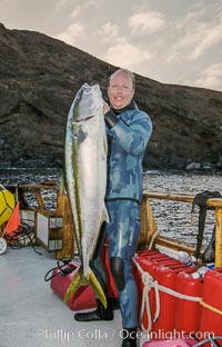 Joe Tobin with world record yellowtail, Guadalupe Island, Mexico, Guadalupe Island (Isla Guadalupe)