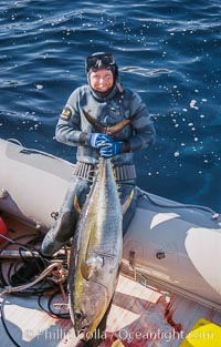 Joe Tobin with yellowfin tuna, Guadalupe Island, Mexico, Guadalupe Island (Isla Guadalupe)