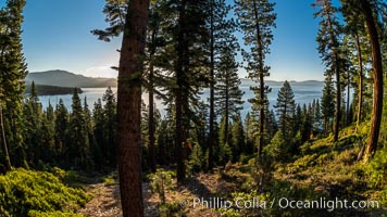 Lake Tahoe viewed through trees, Ridgewood