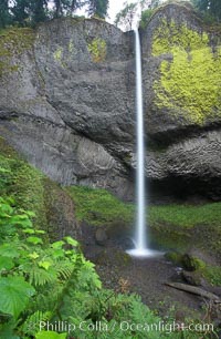 Latourelle Falls, in Guy W. Talbot State Park, drops 249 feet through a lush forest near the Columbia River, Columbia River Gorge National Scenic Area, Oregon