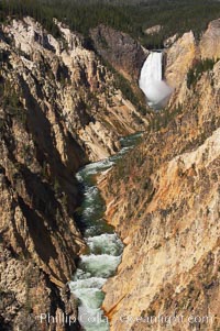 The Lower Falls of the Yellowstone River drops 308 feet at the head of the Grand Canyon of the Yellowstone. The canyon is approximately 10,000 years old, 20 miles long, 1000 ft deep, and 2500 ft wide. Its yellow, orange and red-colored walls are due to oxidation of the various iron compounds in the soil, and to a lesser degree, sulfur content, Yellowstone National Park, Wyoming