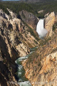 The Lower Falls of the Yellowstone River drops 308 feet at the head of the Grand Canyon of the Yellowstone. The canyon is approximately 10,000 years old, 20 miles long, 1000 ft deep, and 2500 ft wide. Its yellow, orange and red-colored walls are due to oxidation of the various iron compounds in the soil, and to a lesser degree, sulfur content, Yellowstone National Park, Wyoming