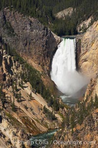 The Lower Falls of the Yellowstone River drops 308 feet at the head of the Grand Canyon of the Yellowstone. The canyon is approximately 10,000 years old, 20 miles long, 1000 ft deep, and 2500 ft wide. Its yellow, orange and red-colored walls are due to oxidation of the various iron compounds in the soil, and to a lesser degree, sulfur content, Yellowstone National Park, Wyoming