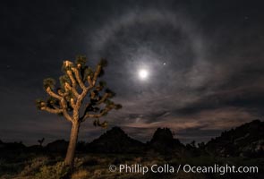 Lunar corona, or moon halo, also known as lunar nimbus, icebow or gloriole, occurring 22 degrees around the moon.  Observed during the full lunar eclipse of April 14/15 2014.  Planet Mars at upper right, blue star Spica to the right of the moon, Joshua Tree National Park, California