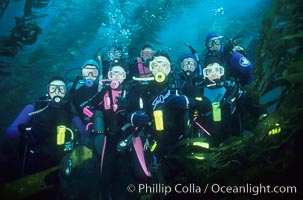 Divers and kelp forest, Macrocystis pyrifera, San Clemente Island