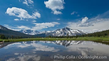 Mammoth Peak in the Yosemite High Country, reflected in small tarn pond, viewed from meadows near Tioga Pass, Yosemite National Park, California