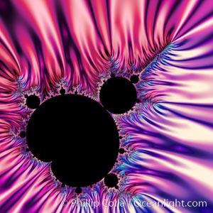 The Mandelbrot Fractal.  Fractals are complex geometric shapes that exhibit repeating patterns typified by self-similarity, or the tendency for the details of a shape to appear similar to the shape itself.  Often these shapes resemble patterns occurring naturally in the physical world, such as spiraling leaves, seemingly random coastlines, erosion and liquid waves.  Fractals are generated through surprisingly simple underlying mathematical expressions, producing subtle and surprising patterns.  The basic iterative expression for the Mandelbrot set is z = z-squared + c, operating in the complex (real, imaginary) number set, Mandelbrot set