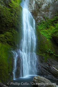Marymere Falls drops 90 feet through an old-growth forest of Douglas firs, near Lake Crescent, Olympic National Park, Washington
