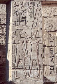 Wall detail, Medinet Habu, Luxor, Egypt